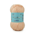 Ganga Acrowools Soft n Strong Yarn (SNS018)